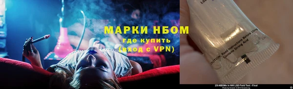 стафф Нефтегорск