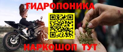jwh Кандалакша