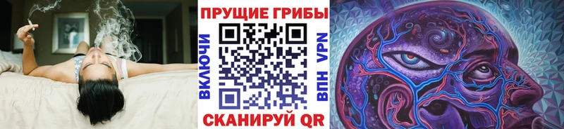 закладка  Ставрополь  Псилоцибиновые грибы Magic Shrooms 