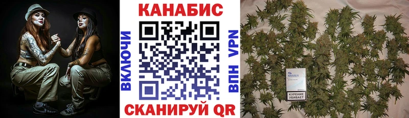 Шишки марихуана гибрид  darknet какой сайт  Ставрополь 